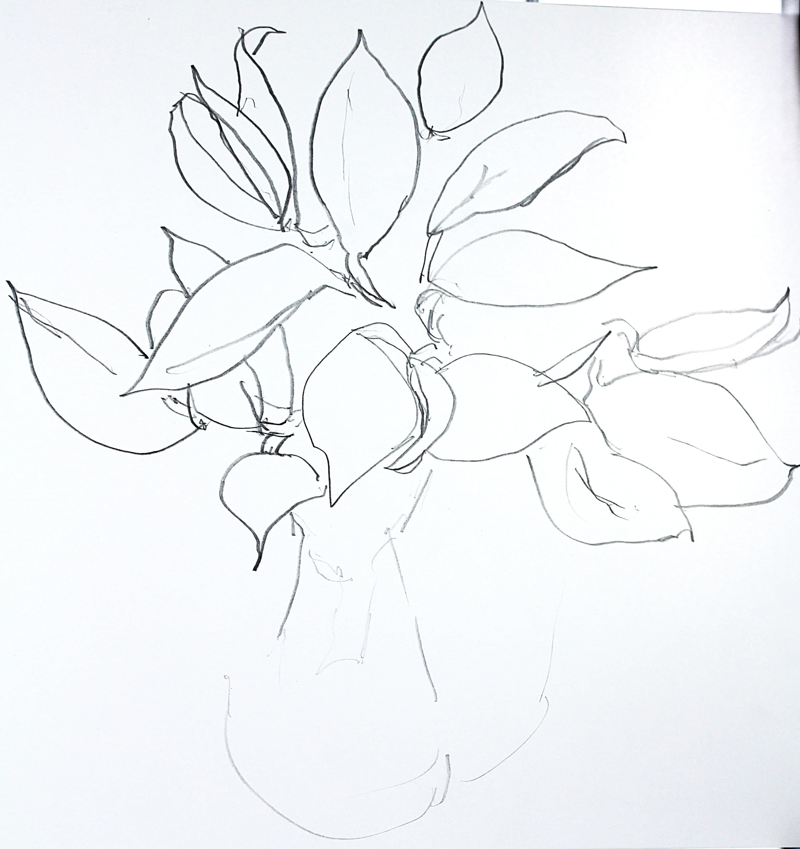Flower Study No. 2 by Gary Allen